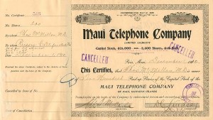 Maui Telephone Co.